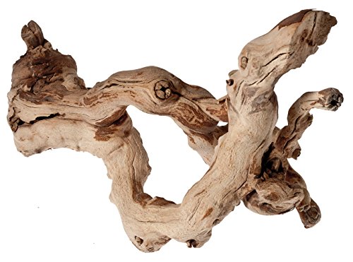 Fische 25,4 cm grapewood sandgestrahlt branchy, variiert von Pisces