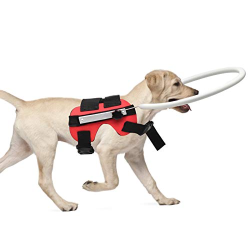 Antikollisionsring für Blinde Hunde MYFZ02 Antikollisionsring für Blinde Haustiere Tiersicherer Blindenführhund Schutzgeschirr Weste Ring von Pissente
