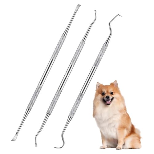 Pixaro Zahnstein Entferner Set für Hunde - 3PCS Zahnsteinentferner Set für Hunde und Katzen, Edelstahl Zahnreinigung, Zahnsteinentferner Hund Doppelseitig, Hundezahnpflege zur Zahnsteinentfernung von Pixaro