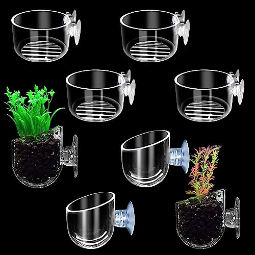 Pizsieat 8 Stück Aquarium Pflanzenhalter Mit Saugnap,Aquarium Plant Glas Cup Transparent Wasserpflanzen Topf Glas für Aquarium Landschaft Mini Fish Tank Decoration von Pizsieat