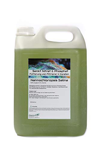 Plankton24 5 Liter Nannochloropsis Salina senkt Nitrat & Phosphat Plankton Meerwasser Korallen Phytoplankton LPS von Plankton24