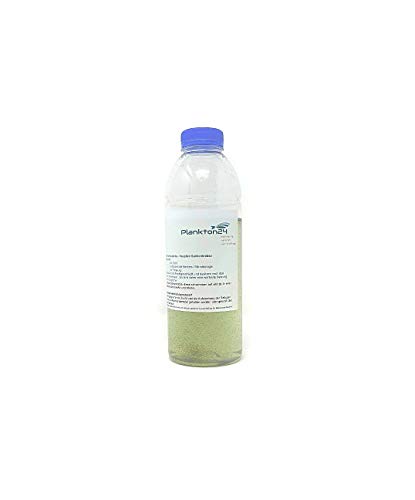 Lebendfutter Artemia Salina - Nauplien Salinenkrebse 100ml Zooplankton von Plankton24