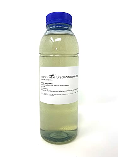 Lebendfutter Brachionus plicatilis - Lebende Copepoden 500 ml Zooplankton von Plankton24