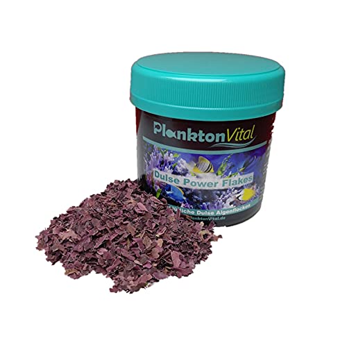 PlanktonVital Dulse Power Flakes Lappentang Flocken Seaweed Algenfutter Meerwasser Fischfutter Algen Dulse Lappentang Dulse Flocken (250 ml) von PlanktonVital