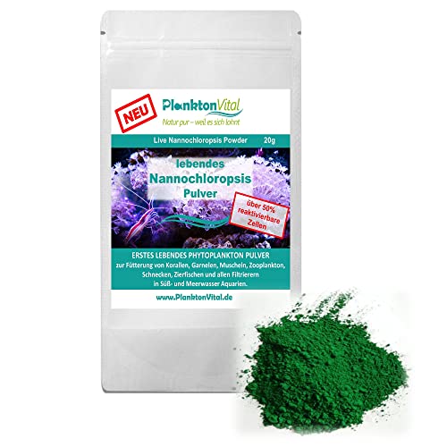 PlanktonVital lebendes Nannochloropsis Pulver Living Nannochloropsis Powder Planktonpulver für Korallen, Garnelen, Zooplankton, Filtrierer (100g) von PlanktonVital