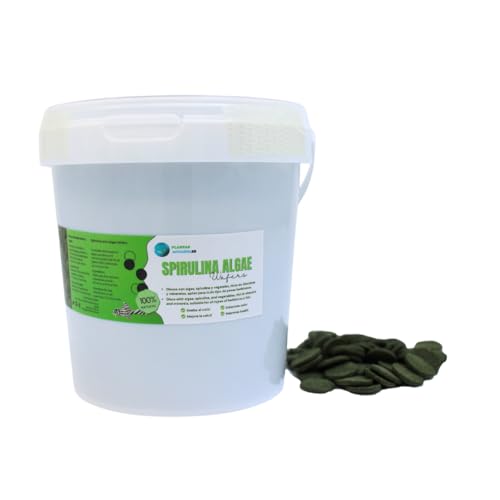 Spirulina Algae Wafers 1000 ml, Spirulinabscheiben, Pflanzenfutter für Bodenfische auf Algenbasis und Spirulina, natürliches und ausgewogenes Futter für pflanzenfressende Fische und Wirbellose. von PlantasAcuario