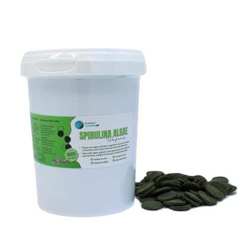 Spirulina Algae Wafers 500 ml, Spirulina Scheiben, Pflanzenfutter für Bodenfische auf Algenbasis und Spirulina, natürliches und ausgewogenes Futter für pflanzenfressende Fische und wirbellose Tiere. von PlantasAcuario