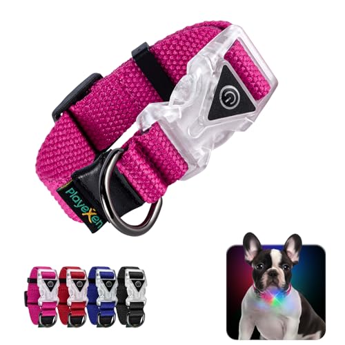 Leuchtendes Hundehalsband Verstellbares Hundehalsband aus weicher Baumwolle für Hunde & Katzen Kleine Mittlere Große LED-Hundehalsband 2 Blitzmodi Hundehalsbänder 20-30/2,0 cm (XS), Rosa von Playexen