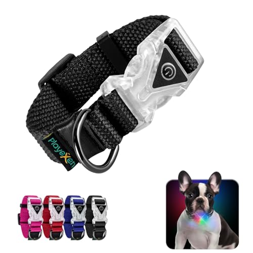 Leuchtendes Hundehalsband Verstellbares Hundehalsband aus weicher Baumwolle für Hunde & Katzen Kleine Mittlere Große LED-Hundehalsband 2 Blitzmodi Hundehalsbänder 20-30/2,0 cm (XS), Schwarz von Playexen