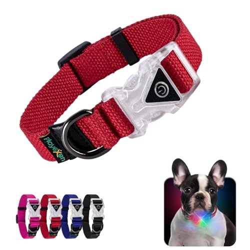 Leuchtendes Hundehalsband Verstellbares Hundehalsband aus weicher Baumwolle für Hunde & Katzen Kleine Mittlere Große LED-Hundehalsband 2 Blitzmodi Hundehalsbänder 25-40/2,0 cm (S), Rot von Playexen