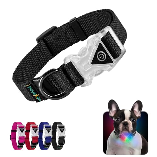 Leuchtendes Hundehalsband Verstellbares Hundehalsband aus weicher Baumwolle für Hunde & Katzen Kleine Mittlere Große LED-Hundehalsband 2 Blitzmodi Hundehalsbänder 25-40/2,0 cm (S), Schwarz von Playexen