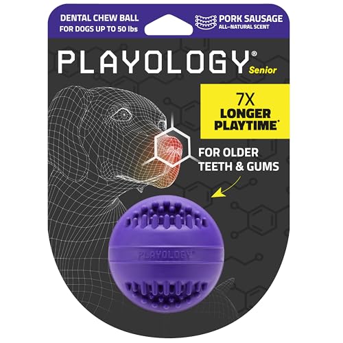 PLAYOLOGY Dental-Kauball für Hunde, für ältere Hunde, mittelgroß, mit natürlichem Schweinefleischduft, silberfarben von Playology