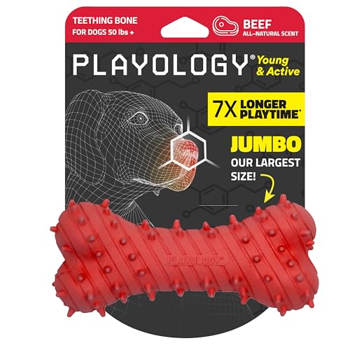 Playology Kauspielzeug für Welpen, Kauspielzeug mit Quietscher, für Welpen im Alter von 4–8 Monaten (alle Rassen bis zu 27 kg) – ansprechendes natürliches Rindfleisch-Duftspielzeug von Playology