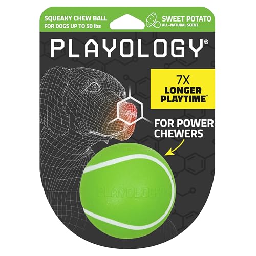 Playology Quietschender Kauball für Hunde, ansprechendes, natürliches Süßkartoffel-Duft, Hundespielzeug für mittelgroße Hunde bis zu 22,7 kg, Quietschen, Apportieren und Spielen von Playology