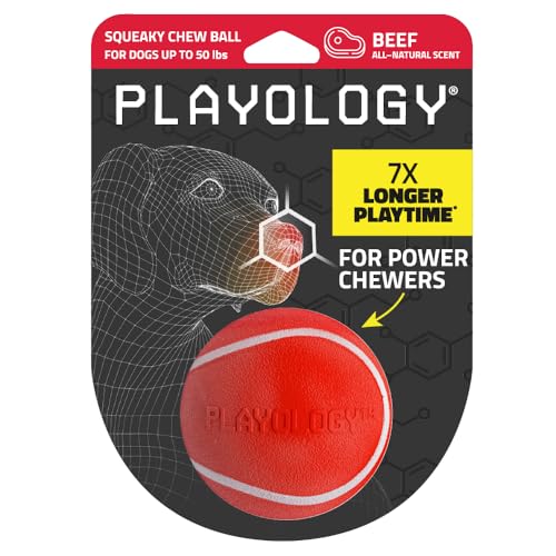 Playology Quietschender Kauball für Hunde – Hundespielzeug mit ganz natürlichem Rindfleischduft, rotes Spielzeug für mittelgroße/große Hunde – Quietschen, Hüpfen, Apportieren und Spielen! von Playology