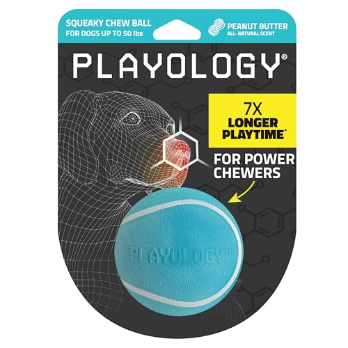 Playology Quietschendes Kauball - Hundespielzeug – Medium/Large – ansprechender natürlicher Erdnussbutter-Duft von Playology