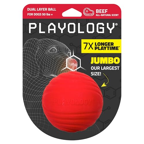 Playology Zweilagiger Ball für Hunde, groß, mit Rindfleischduft von Playology