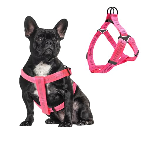 Plliocse Hundegeschirr, reflektierend, verstellbar, ausbruchsicher, mit doppeltem D-Ring für kleine Hunde, nächtliches Gassigehen (Hot Pink, M) von Plliocse