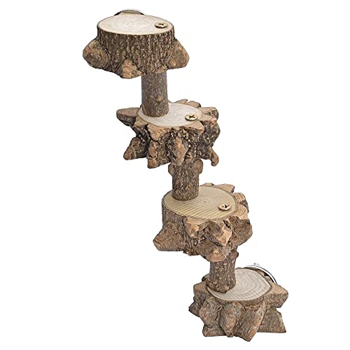 Pmkvgdy Vogel Plattform Barsch Spielplatz für Wellensittich Sittich, KäFig Natur Holz Spiel Stand Papagei Flach Stangen für MittelgroßE VöGel von Pmkvgdy