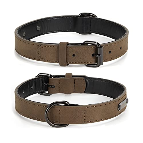 Hundehalsband Leder, Pnimaund Weich Gepolstertes Leder Halsband für Hunde, Atmungsaktives Heavy Duty Hundehalsband Leder mit Verstellbarer Metallschnalle für kleine mittel große Hunde, Kaffee, S von Pnimaund