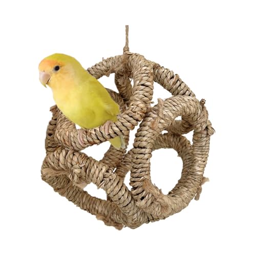 Vogelstange Natur Zweigringe für Papageien Conure Supplies Wellensittiche Schaukel Kratzbaum für kleine Papageien Rack Spielzeug Vogelschaukel von Pnuokn