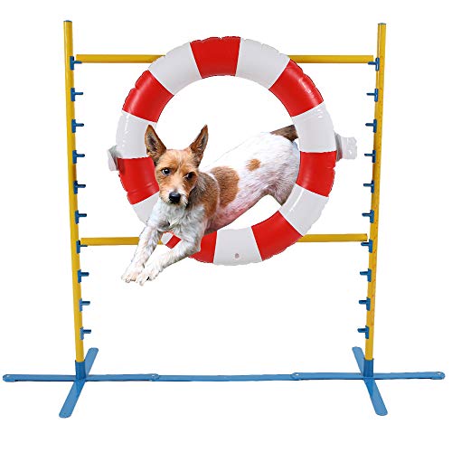 Pocky- Pet Springhürde Hundehürde Agility Hürde mit Sprungring Hundetraining bis 110cm Höhe blau gelb Agilitytraining Hundeparcour von Pocky- Pet