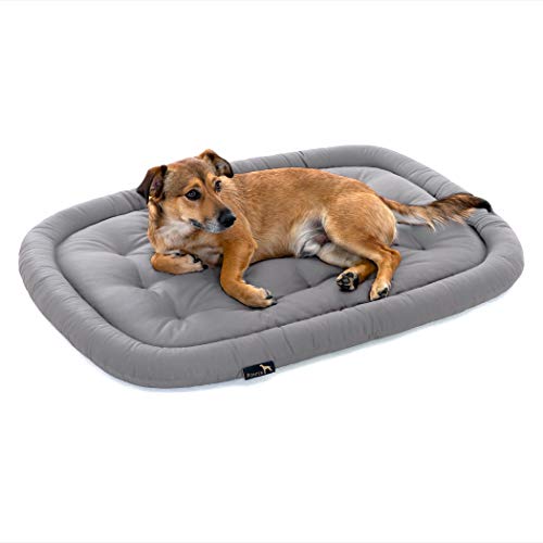 Pointer | Orthopädisches Hundekissen Kleine Hunde, 70x50 cm - Hundebett Waschbar bis 95°C, Geruchsfrei, Robust, Indoor & Outdoor, Made in Germany (M - 70x50 cm, Hellgrau) von Pointer