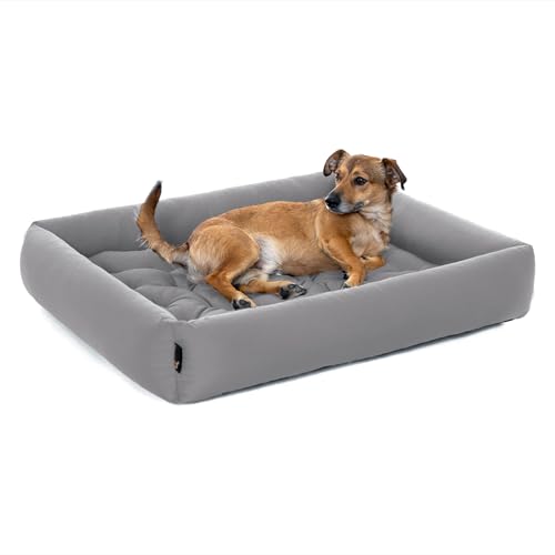 Pointer | Hundebett Mittelgroße Hunde - Orthopädisches Hundebett mit Herausnehmbarer Matratze, Waschbar bis 95°C, Trocknergeeignet, Kratzfest & Bissfest, Made in Germany (L - 80x70 cm, Hellgrau) von Pointer