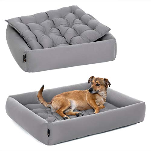 Pointer | Hundebett mit Hundekissen - orthopädisch, waschbar, bequem (M - 70x60 cm, Hellgrau) von Doctor Bark