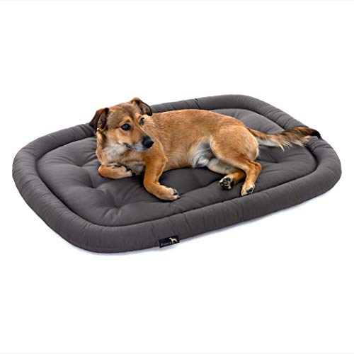 Pointer | Orthopädisches Hundekissen Mittelgroße Hunde, 90x60 cm - Hundebett Waschbar bis 95°C, Geruchsfrei, Robust, Indoor & Outdoor, Made in Germany (L - 90x60 cm, Anthrazit) von Pointer