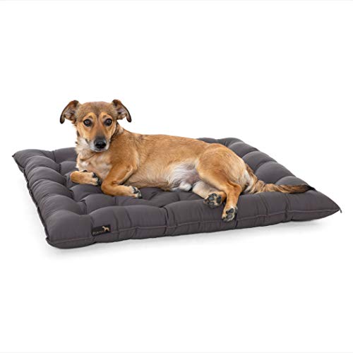 Pointer | Urban Hundekissen Grosse Hunde, 80x70 cm - Orthopädisches Hundebett Waschbar bis 95°C, Geruchsfrei, Robust, Indoor & Outdoor, Made in Germany (XXL - 80x70 cm, Anthrazit) von Pointer