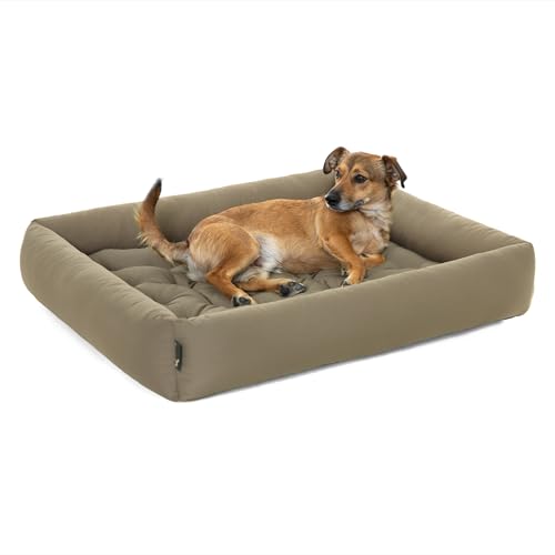 Pointer | Hundebett Große Hunde - Orthopädisches Hundebett mit Herausnehmbarer Matratze, Waschbar bis 95°C, Trocknergeeignet, Kratzfest & Bissfest, Made in Germany (XXL - 100x90 cm, Goldbraun) von Pointer