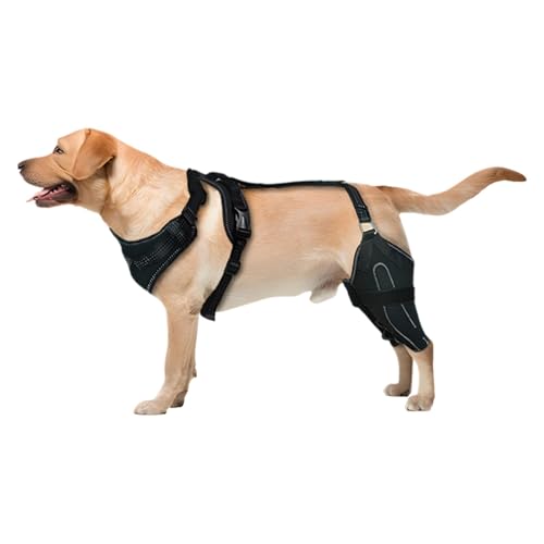 ACL Kniebandage für Hunde, CCL Stützbandage für Hunde, Rückenbeinbandage, fördert die Erholung, verstellbare Riemen, schwarz, XL, für Hund, Welpen, Haustiere, Rücken- und Beinstütze von Pokronc