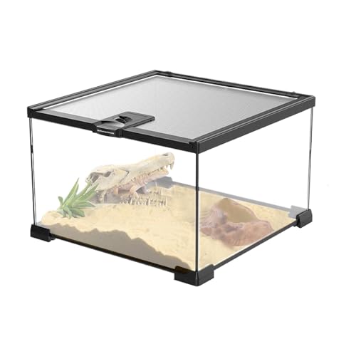 Reptilien-Glas-Terrarium, Reptilien-Tank, Regenwald-Landschafts-Aquarium, sicher und ausbruchsicher, einfache Wartung und Belüftung, 30 x 20 x 15 cm, 30 x 20 x 20 cm, für Schlinggeeckos, Eidechsen von Pokronc