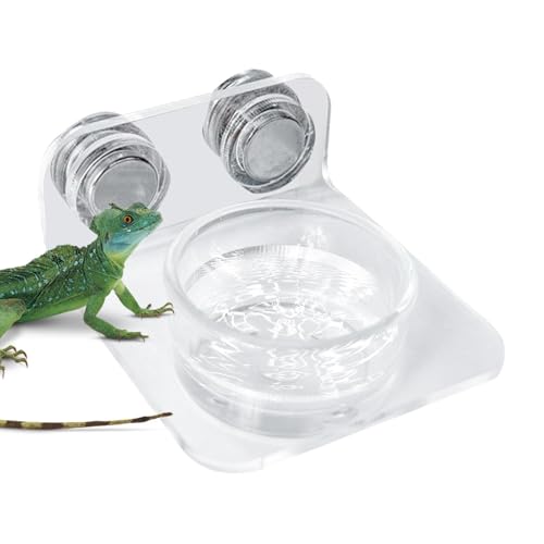 Poludatly Reptilien-Futterstation, Futterschale für Reptilien, hängender Gecko-Futterspender, Acryl, Reptilien-Futterschale, Magnet-Gecko-Wasserschale, Reptilien-Futterleiste mit Schüssel von Poludatly