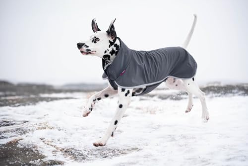 Softshellmantel für Hunde, Pink, Reflektierende Streifen (Graphit, 40) von Pomppa