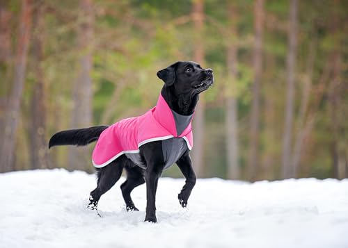 SporttiPomppa, Softshellmantel für Hunde, Reflektierende Streifen (Pink, 52) von Pomppa