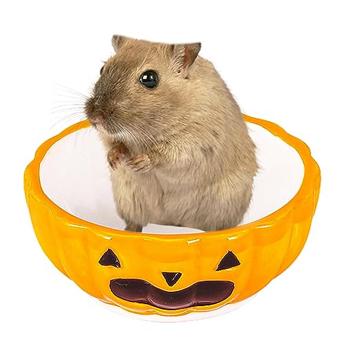 Hamsterschale,Futternapf und Wassernapf aus Keramik | Haustier-Hamsternapf-Badewanne, Halloween-Nest-Wasserflasche, kleine Haustier-Wohnzubehör Pomrone von Pomrone