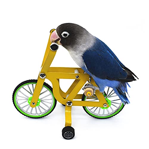 Pomrone Vogel Spielzeug Papagei Intelligenz Trainingsspielzeug Vogel Fahrrad Intellektuelles Spielzeug Zubehör Für Sittich Nymphensittich Conure Wellensittiche Lovebird von Pomrone