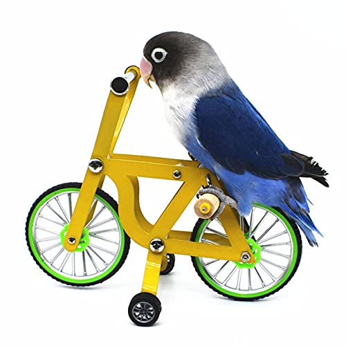 Vogel Spielzeug Papagei Intelligenz Trainingsspielzeug Vogel Fahrrad Intellektuelles Spielzeug Zubehör Für Sittich Nymphensittich Conure Wellensittiche Lovebird von Pomrone