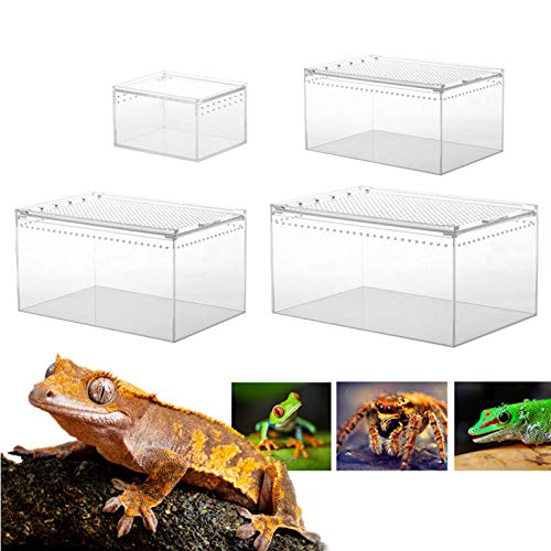 Transparente Reptilienbox Reptilienzuchtbecken Aus Acryl,Reptilien Zuchtbox Reptil Zuchtfall Für Spide, Skorpion, Tausendfüßler, Gehörnter Frosch, Käfer,Mehrfachgröße - 10.3x8.3x6CM von Pomrone