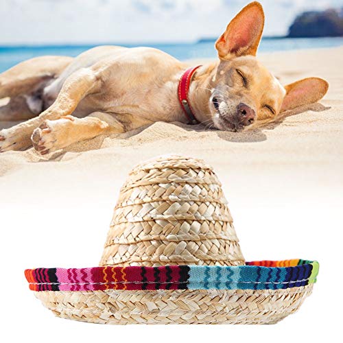 Hunde-Sombrero-Hut, Katzenhut, Hundehüte für Kleine Hunde, Mini-Stroh-Sombrero-Hüte, Mexikanische Hüte, Sombrero-Partyhüte mit Baumwollseil-Verstellung für Kleine, Mittelgroße von Pongnas