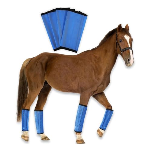 Poo4kark 4er Set Pferde Bandagen Bein Wraps, Bandagen Pferde Reiter Bein Horse Leg Wraps 47 * 47 * 37CM Einstellbar Pferde Beins Tiefel für Horse Training Bohren (Blau, 47x47x37cm) von Poo4kark