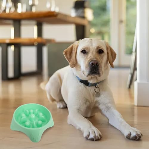 Poo4kark Christmas Slow Food Napf Hund Slow Food Napf Hundefütterung Hund verärgert funktioneller Hundenapf Haustiernapf (Green, 23.9x6cm) von Poo4kark