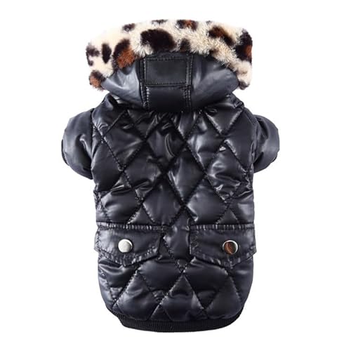 Poo4kark Haustier Hund Kleidung Winter Casual Warme Kleidung Teddy gefüllte Jacke (A, XS) von Poo4kark