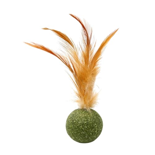 Poo4kark Ostern Katzenspielzeug Feder Katzenspielzeug für Katzen Kauspielzeug Zähne Reinigung Katzenspielzeug Katze (Green, 13x3cm) von Poo4kark