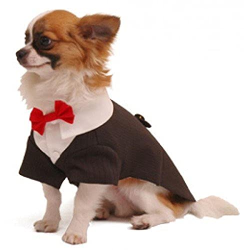 Pooch Outfitters PRRT-L Ruff Tux Hund Tuxedo, L von Pooch Outfitters