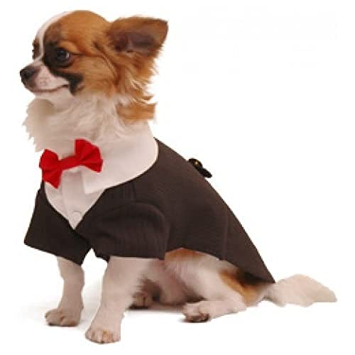 Pooch Outfitters PRRT-M Ruff Ruff Tux Hund Tuxedo, M von Pooch Outfitters