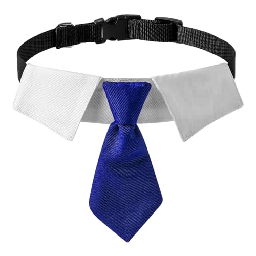 Porceosy Hundehalskette für Katzen, Kätzchen, fünfzackiges Sternhalsband, Foto-Requisiten, verstellbare Schnalle, stilvoll, lichtbeständig, Blau, Größe S von Porceosy