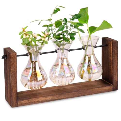 Propagationsstationen Irisierende Pflanzenverteilungsstation, 3pcs Gradientenbirnenvase mit Holzständer Tischplatten Terrarium für Hydroponics Home Office Gartendekoration von Porgeel